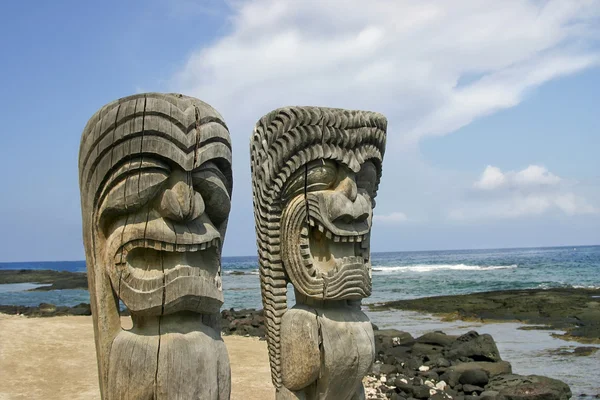 Артефакты на большом острове Гавайи — стоковое фото