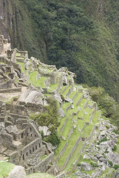 Arka yan görünüm machu Picchu, peru — Stok fotoğraf