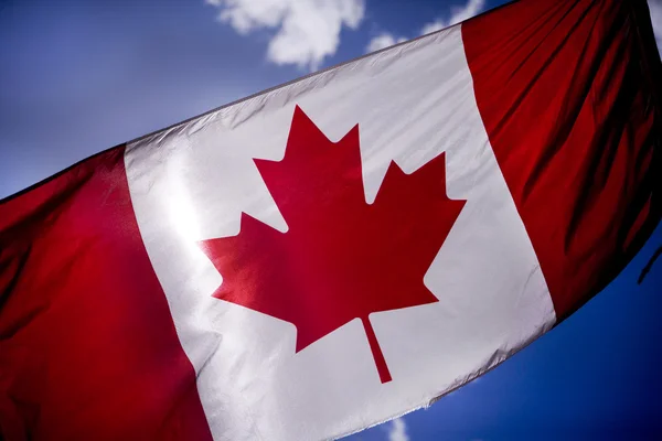 Zerfledderte kanadische Flagge Stockfoto