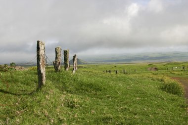 hawaii büyük ada alanların peyzaj