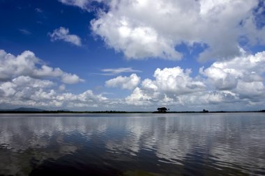 Rufiji River in Southern Tanzania clipart