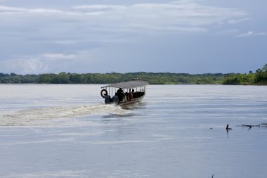 rio üzerinde botla napo nehir, Ekvador amazon