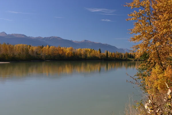 Herbst auf dem Fraser River — Stockfoto
