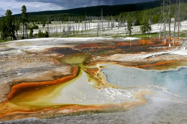 Midway Geyser Basin Parc national Yellowstone — Photo