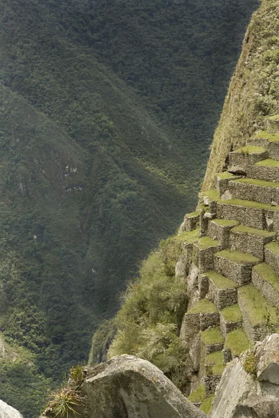马丘比丘，秘鲁的陡峭视图 — 图库照片