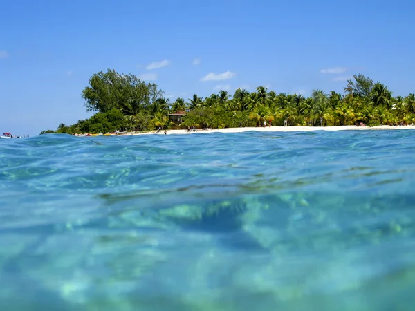 Belize partjainál és a türkiz óceán Stock Fotó