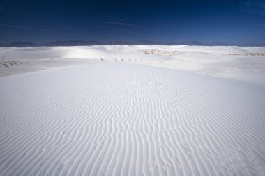 Tracks across the white sand clipart