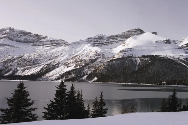 Zimní scéna lake — Stock fotografie