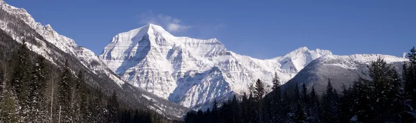 Mountain Robson — Stock Photo, Image