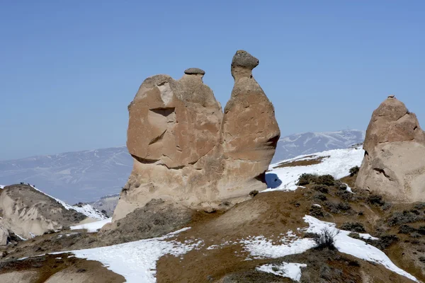Camel rock in Turkey — Stock Photo, Image