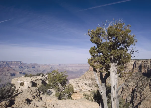 stock image View of the Desert in Uath