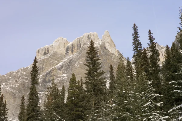 Rocky mountains in het nationaal park jasper — Stockfoto