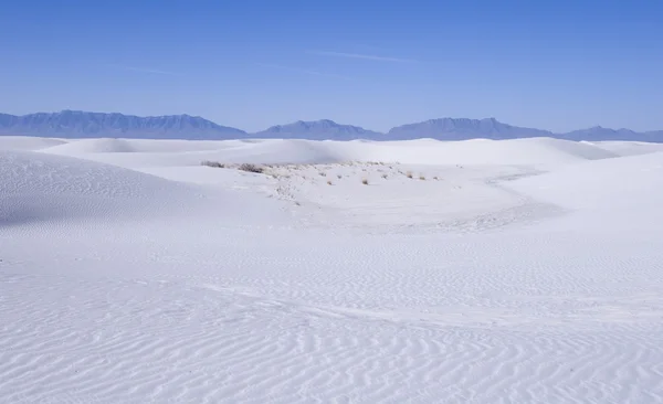 Parco nazionale di White Sands Immagine Stock