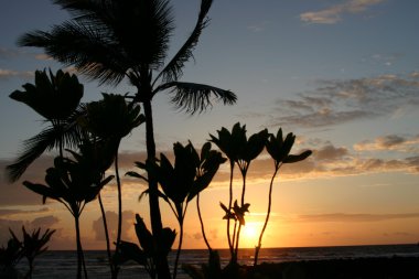 günbatımı üzerinde hawaii büyük ada