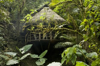 Cabana in the Ecuadorian Cloudforest clipart