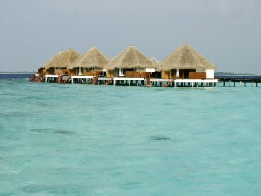 tropik sahil ve cabanas Maldivler Adası