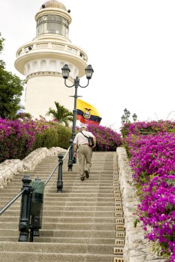 Guayaquils lighthouse park in Ecuador clipart