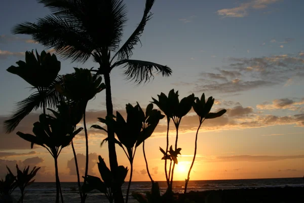Захід сонця на Великому острові Гаваї — стокове фото