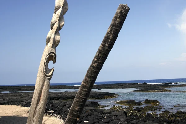 Postes cavados en Hawaii —  Fotos de Stock