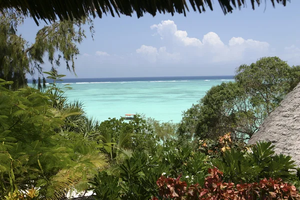 Resort em Zanzibar — Fotografia de Stock