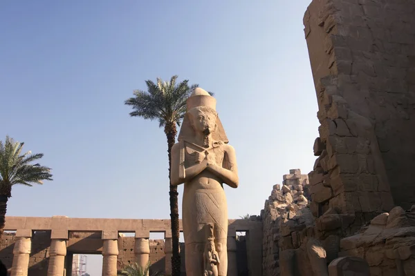 Колосс Рамзеса II — стоковое фото