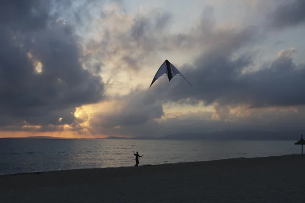 Drachenfliegen bei Sonnenuntergang — Stockfoto