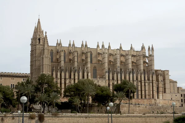 在西班牙马略卡岛的帕尔马大教堂 — 图库照片