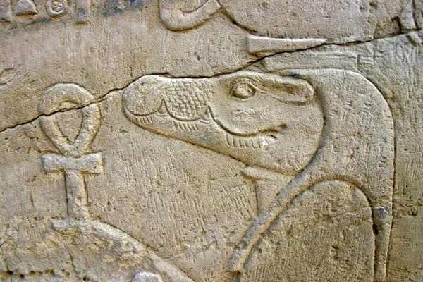 Wall of relief of the Crocodile God Sobek in Egypt — Stock Photo, Image