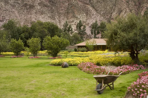 Jardín en Valle de Yucay Perú —  Fotos de Stock