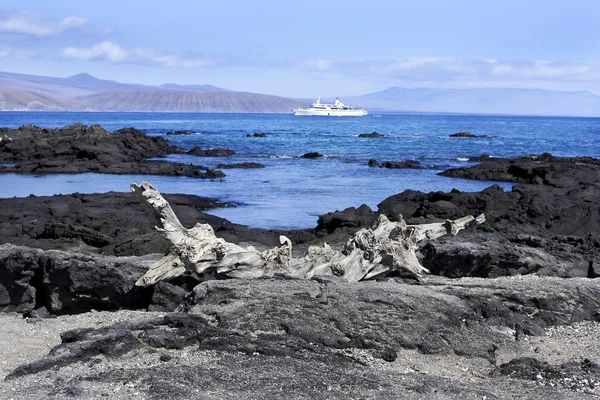 Krajina Galapážských ostrovů — Stock fotografie