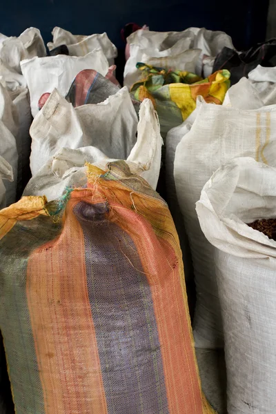 Stock image Cocoa bean bags in Peru