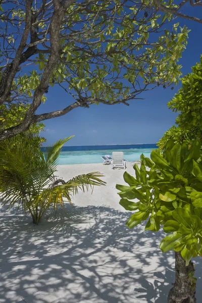 Pantai tropis di Kepulauan Maladewa — Stok Foto
