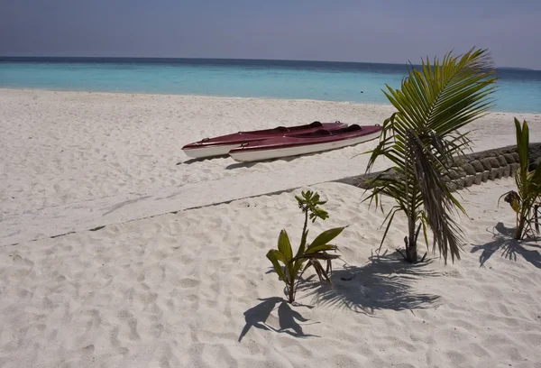 Tropická pláž na Maledivy ostrovy — Stock fotografie