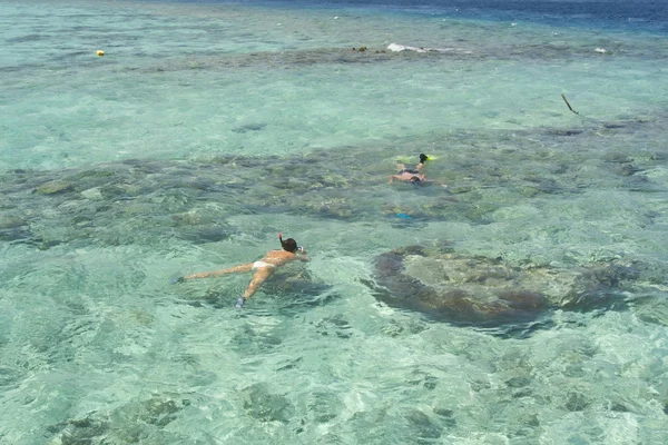 Snorkelen in de Malediven eilanden — Stockfoto