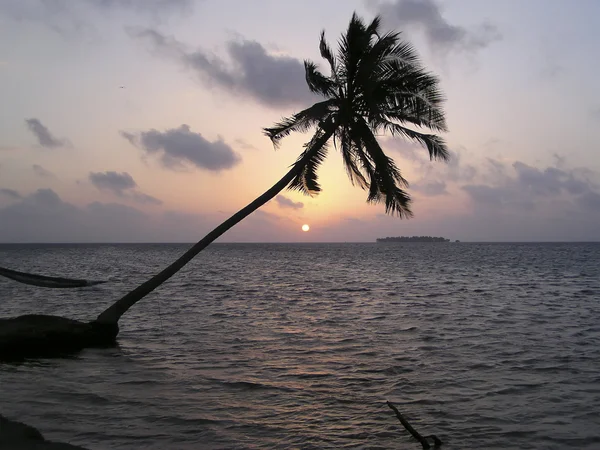 Puesta de sol en una playa tropical en las Islas Maldivas — Foto de Stock
