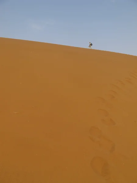 Песчаная дюна и Оли-Намиб-Науктуфт — стоковое фото