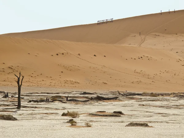 Dune de sable dans le parc national Namib-Nauktuft Namibie — Photo