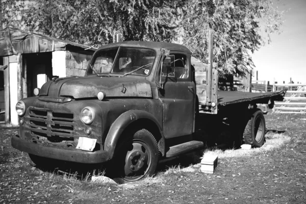 旧卡车 免版税图库照片