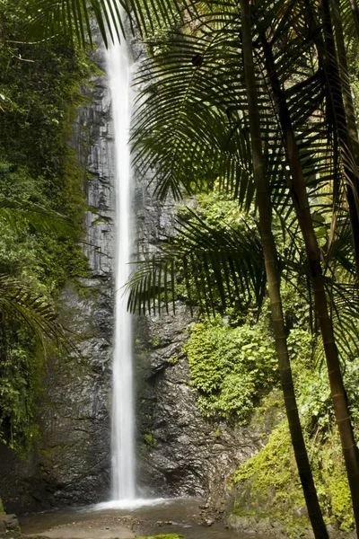 Waterfall in the Ecuador Royalty Free Stock Photos