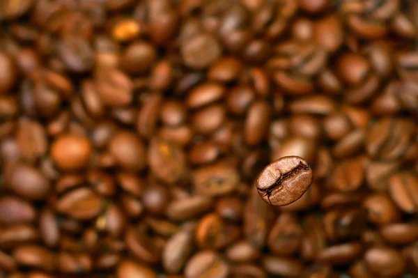 stock image Coffee grain