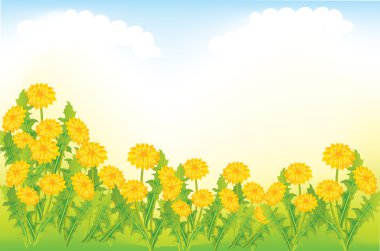 Dandelion meadow clipart