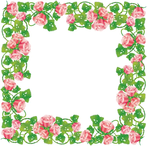 Vecteur llustré rose renommée — Image vectorielle