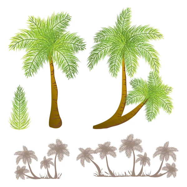 Tropikalne palmy — Wektor stockowy
