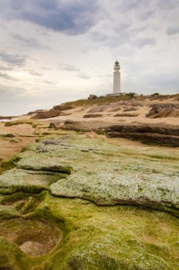 Lightouse ve yeşil taşlar