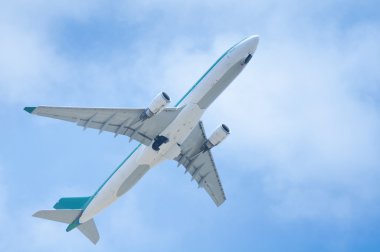 Aer lingus airbus a330 300