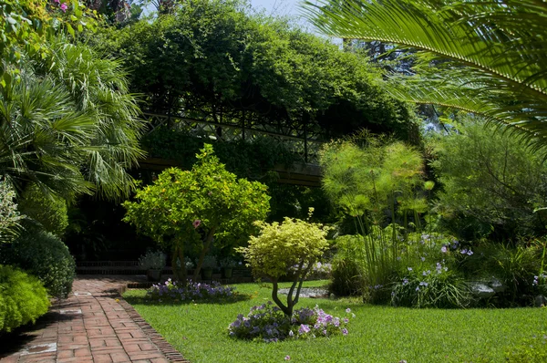 Ботанический сад — стоковое фото