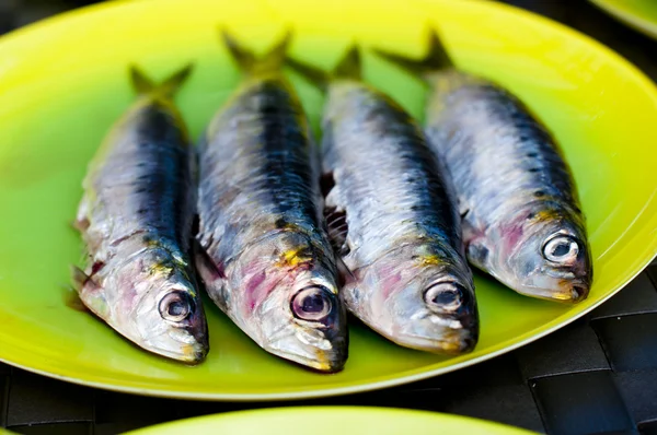 Sardines ready for the BBQ — Stock Photo, Image