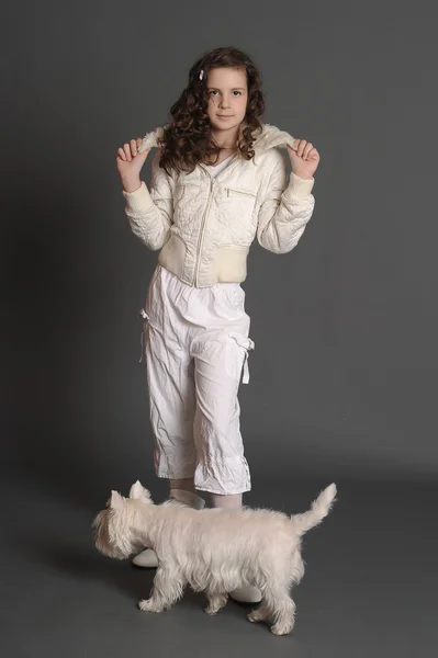 Όμορφο κορίτσι με ένα άσπρο χνουδάτος σκύλοs — Φωτογραφία Αρχείου