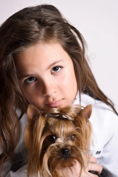 Chica con un Yorkshire Terrier — Foto de Stock