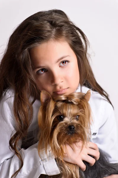 Girl with a Yorkshire Terrier — Stock Photo, Image